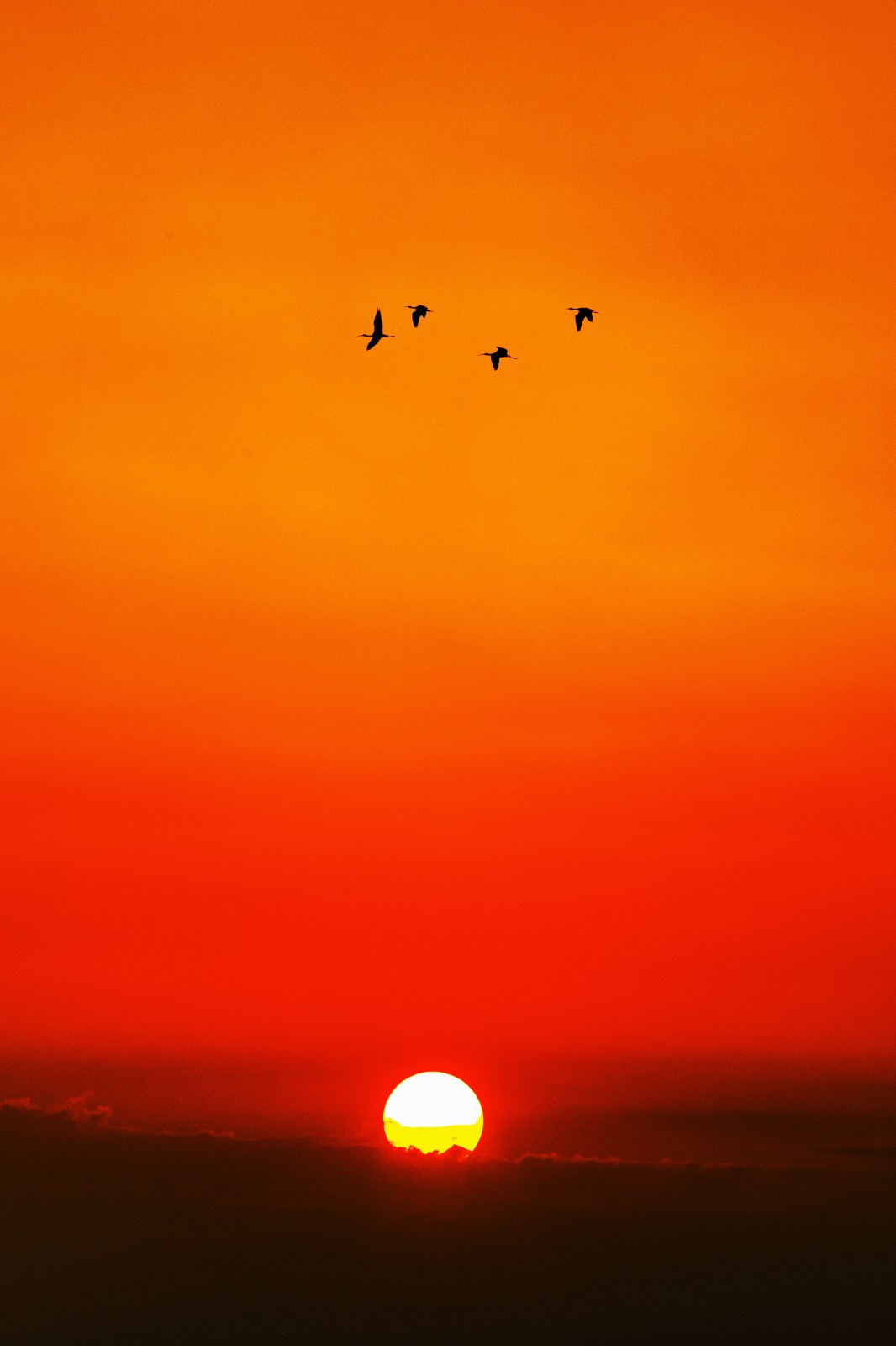 风光类：《醉美夕阳》+达明伟.jpg