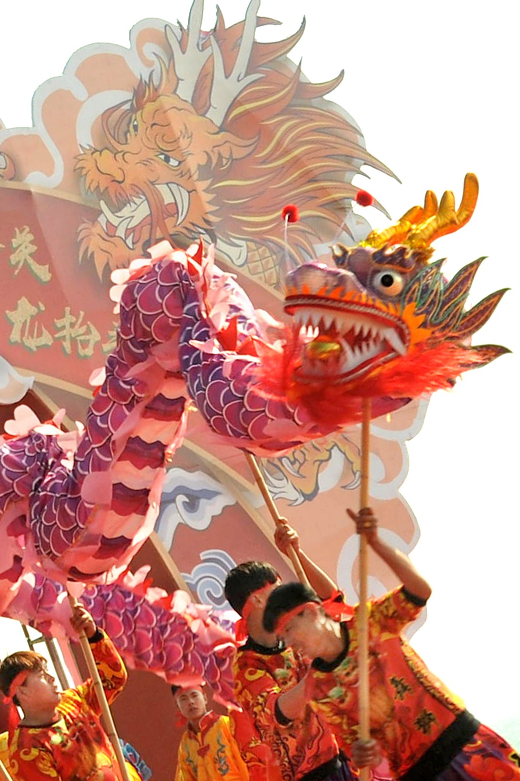 龙抬头.jpg