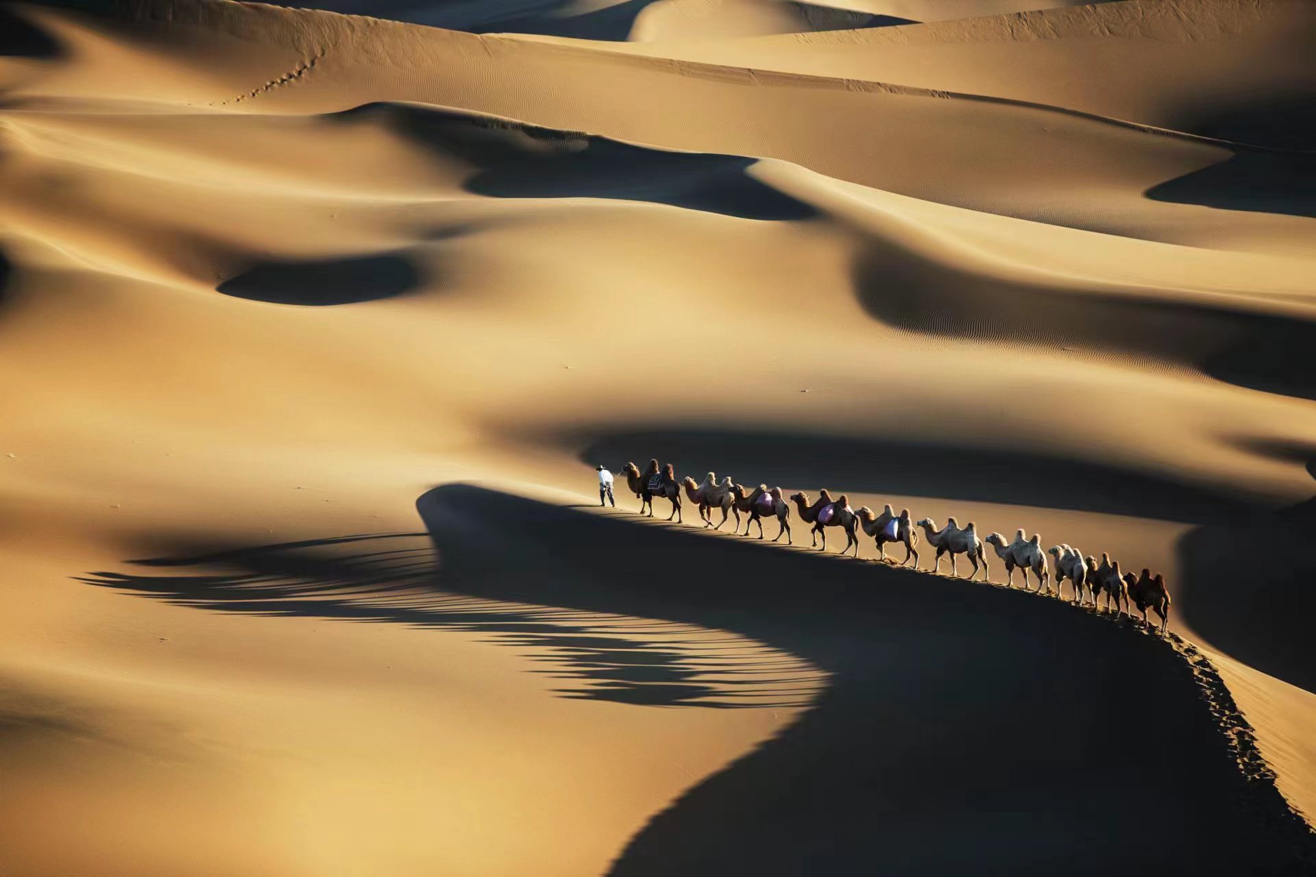 《印象▪沙漠》.jpg