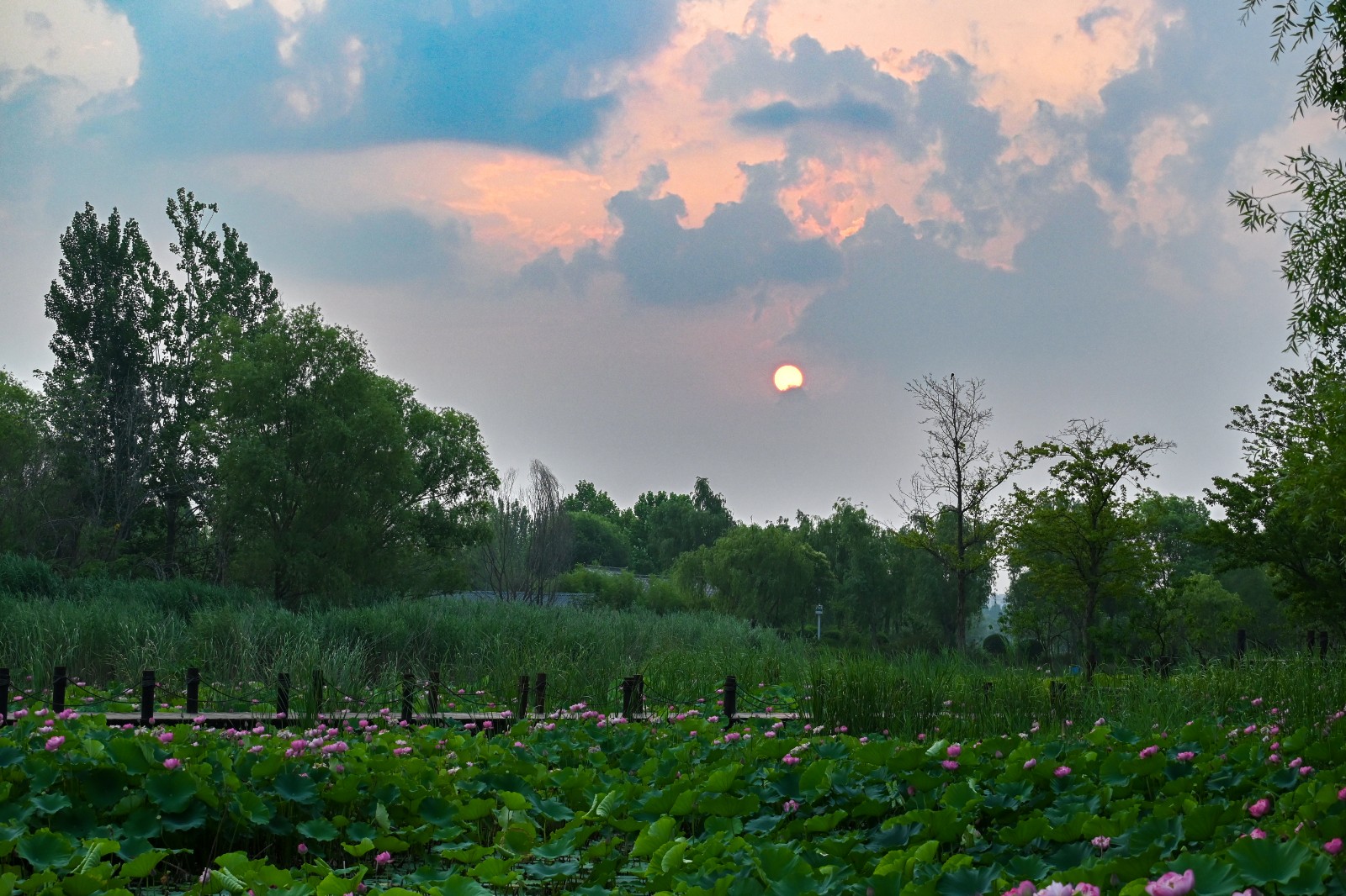 《太白湖风光》.jpg