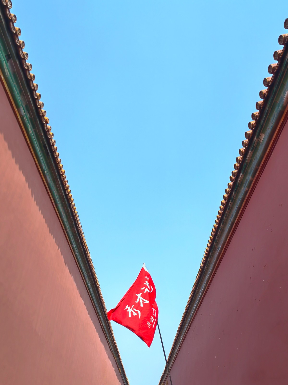 导游.jpg
