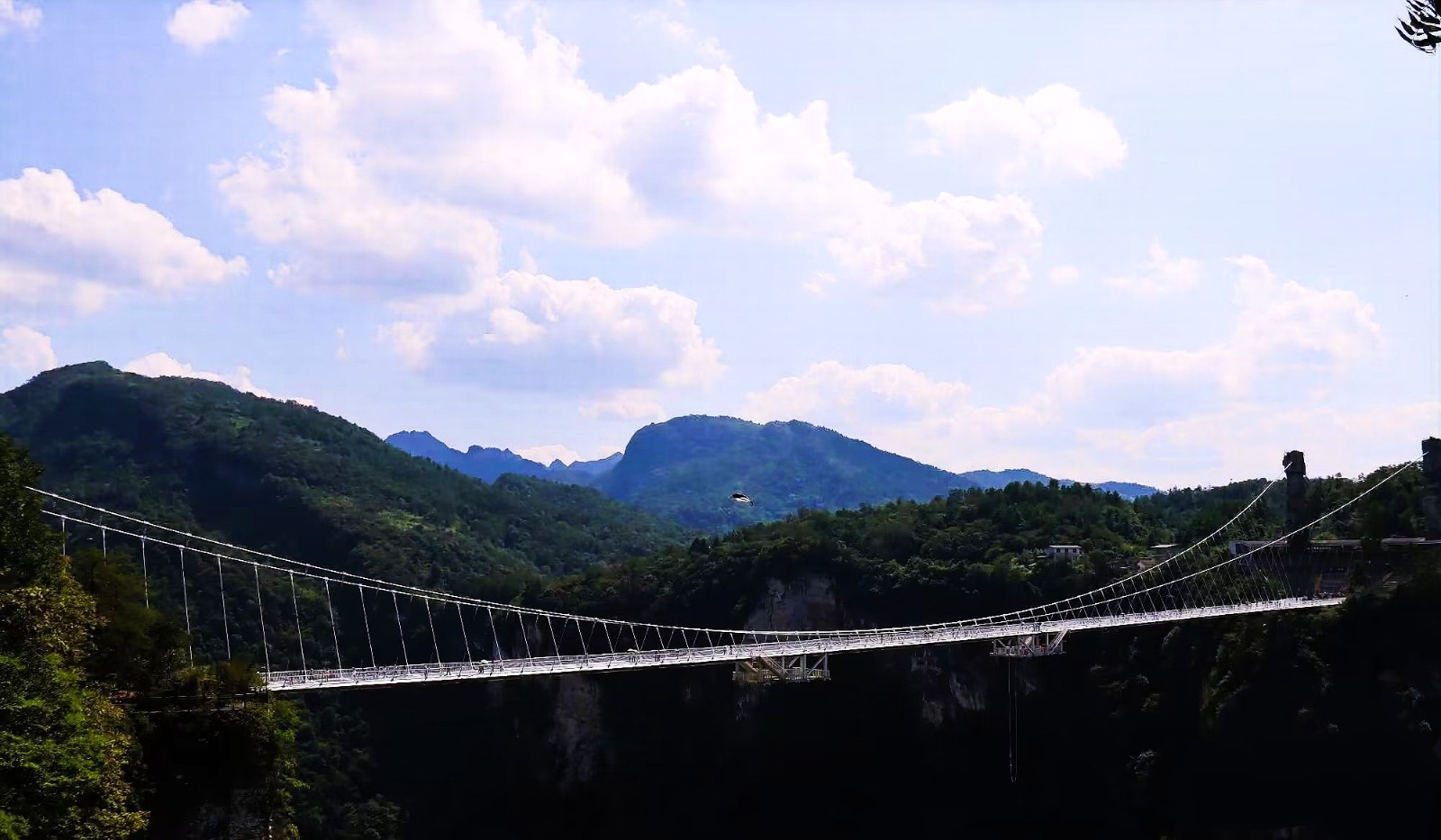 夏永军+《一桥飞架》+金奖.jpg