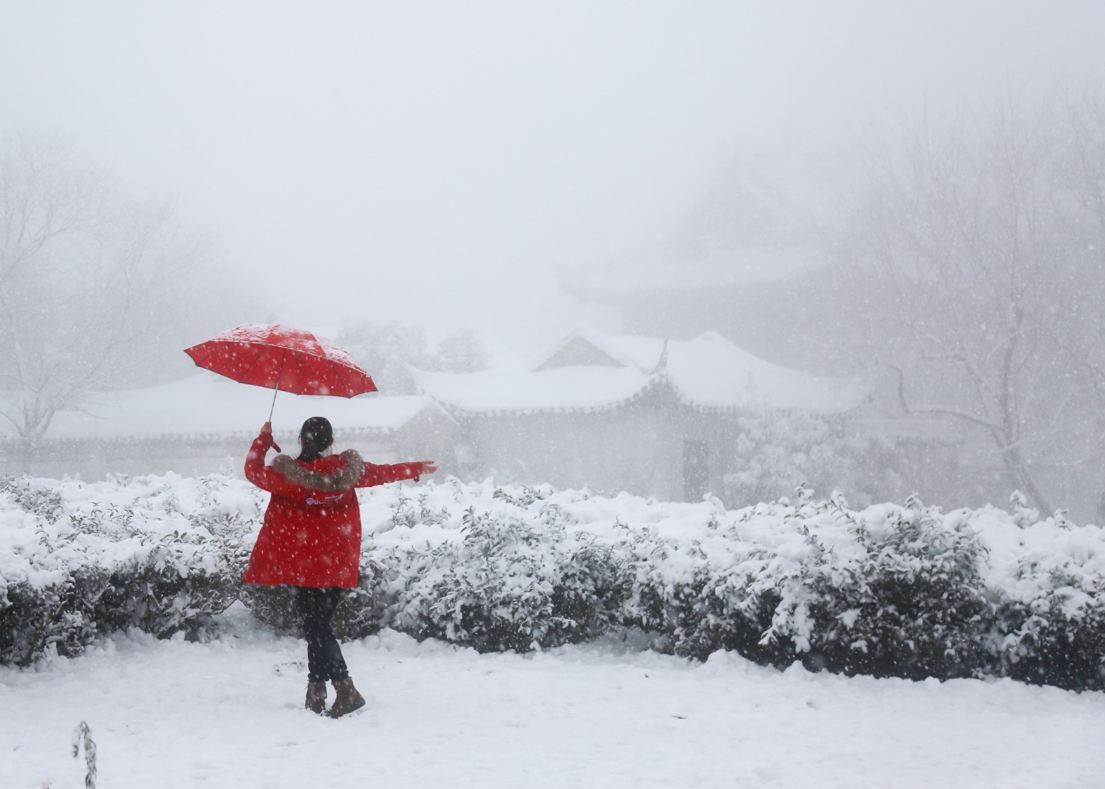 《雪舞》.jpg