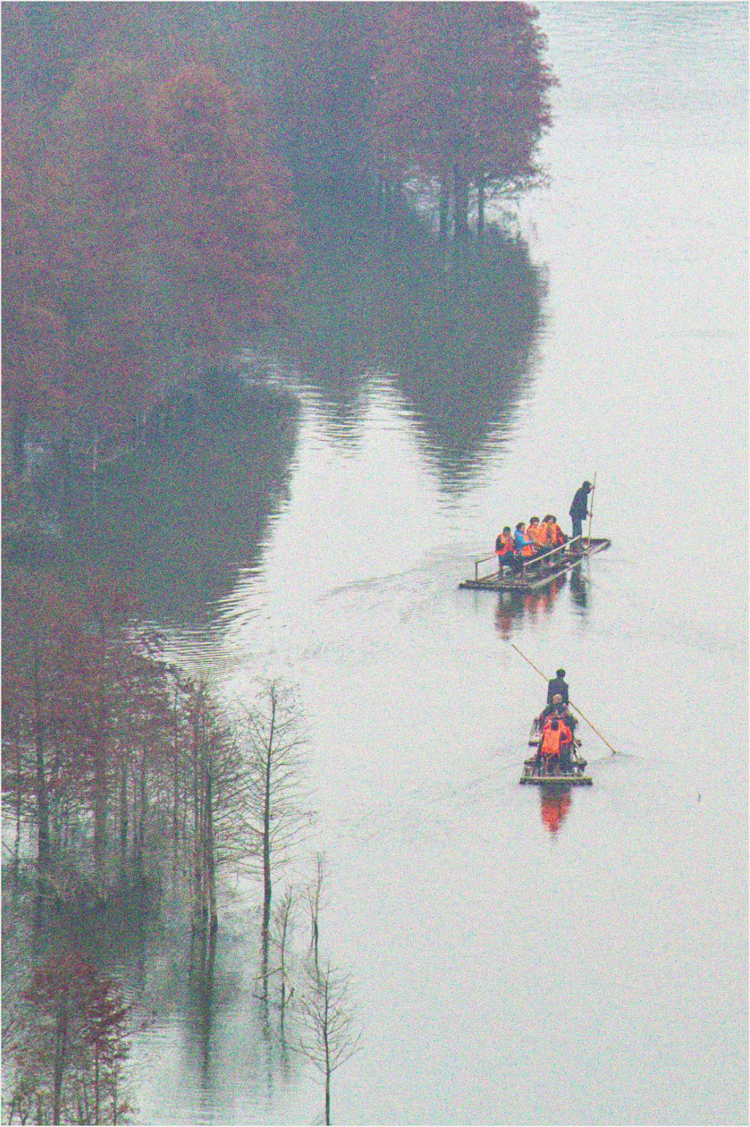 氲氤红杉林.jpg