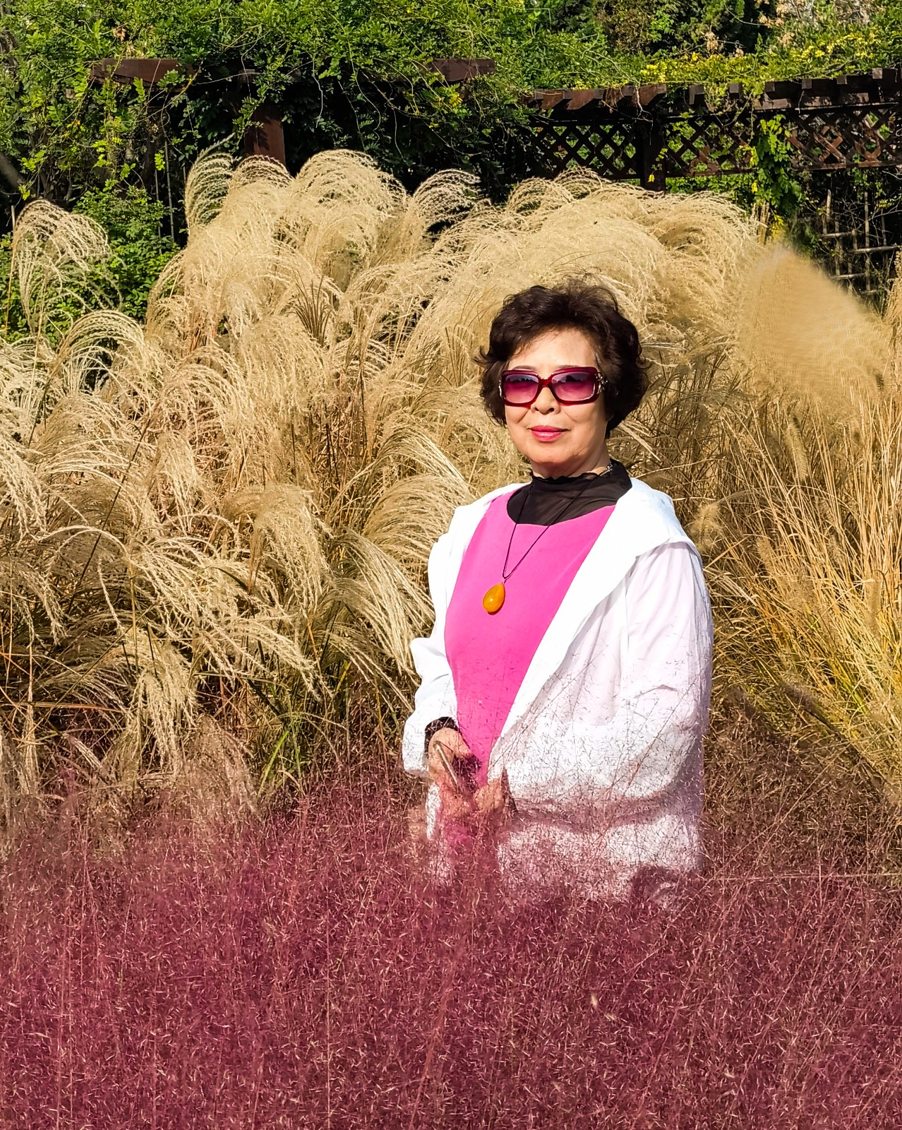 《芦花倩影》.jpg