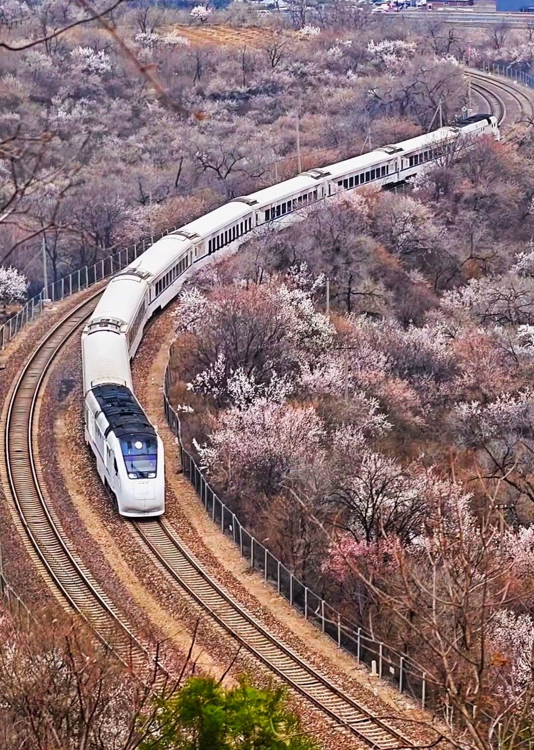 开往春天.jpg