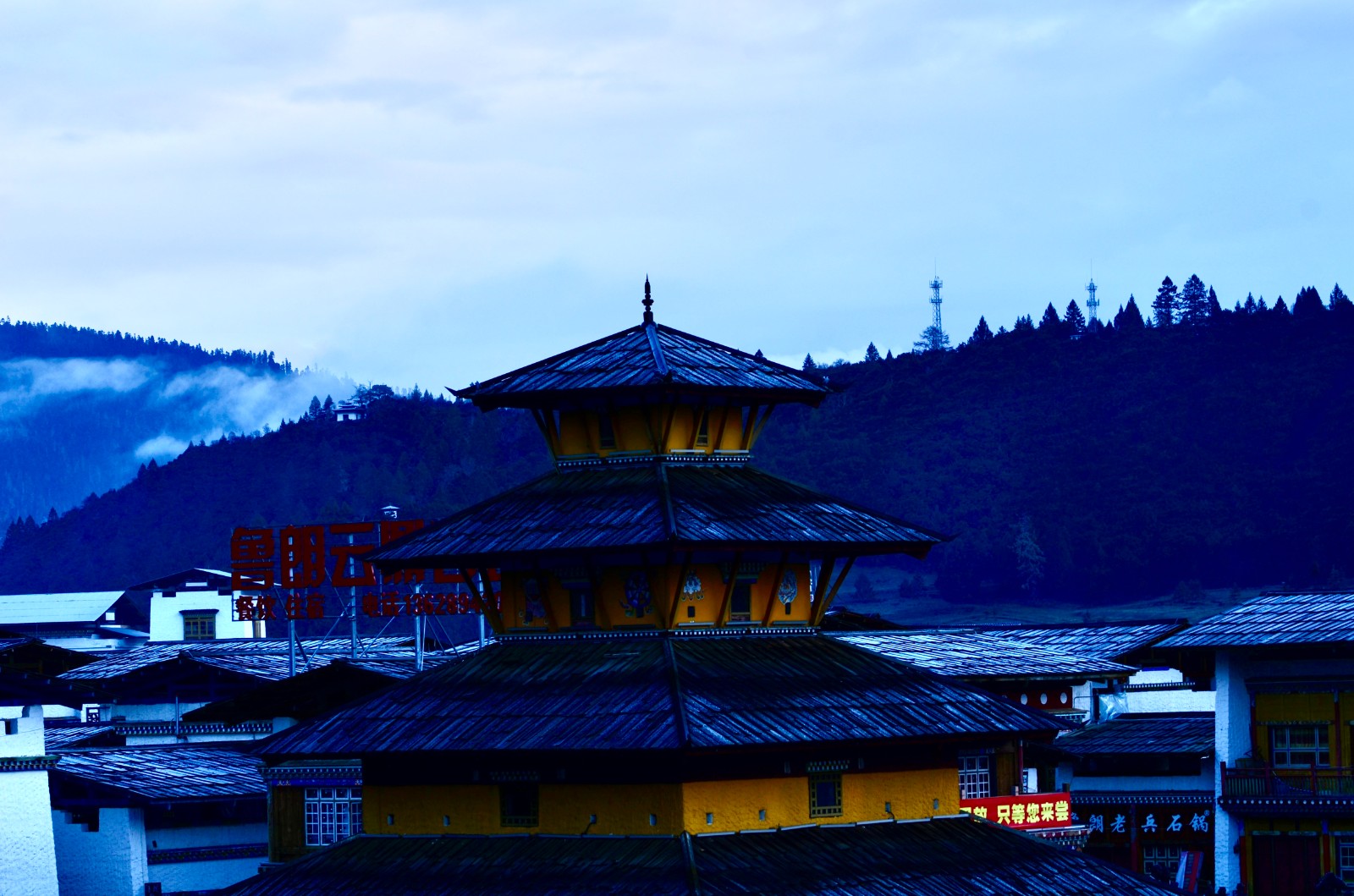 鲁朗 (1).jpg