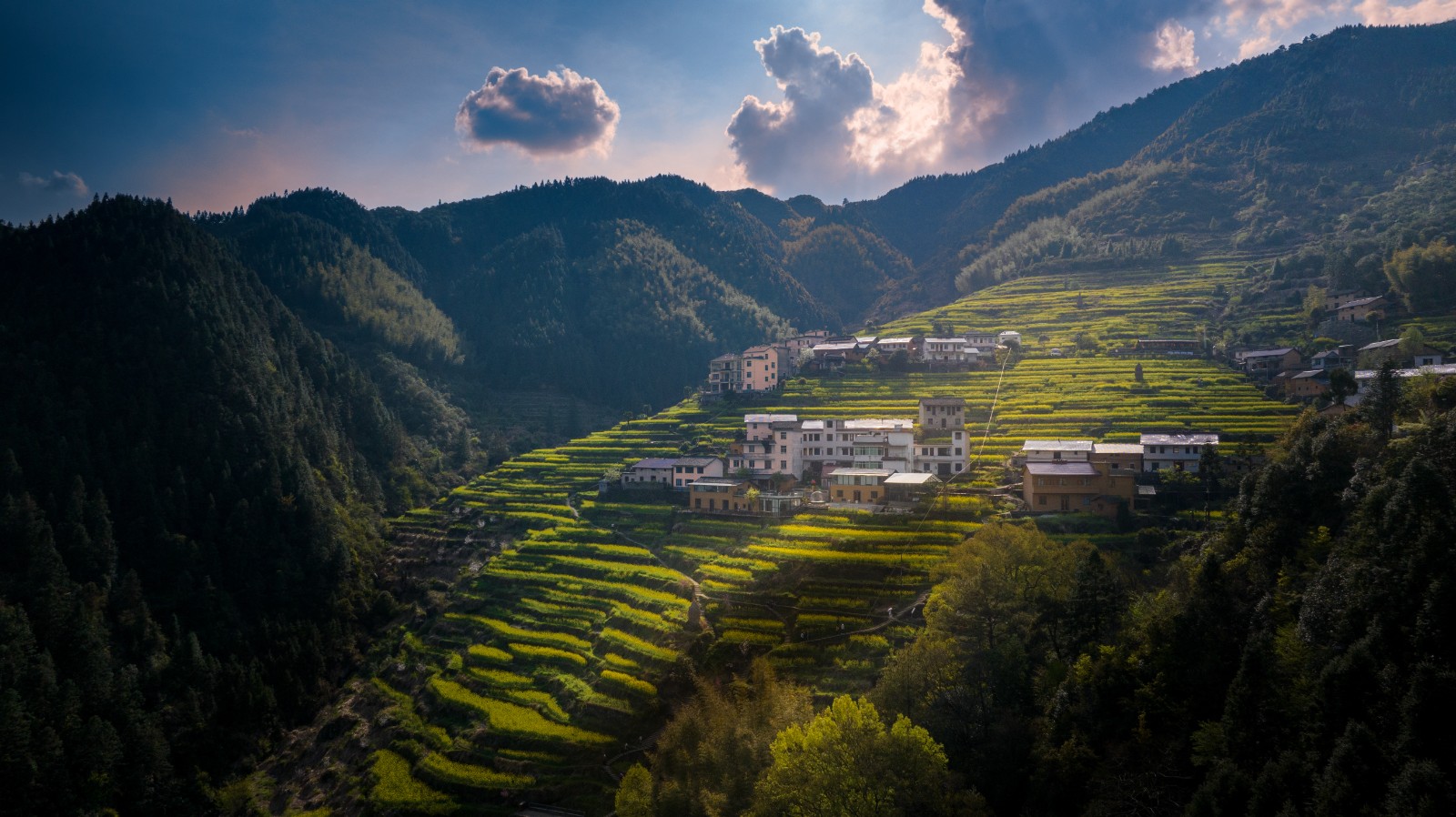1《梯田》.jpg