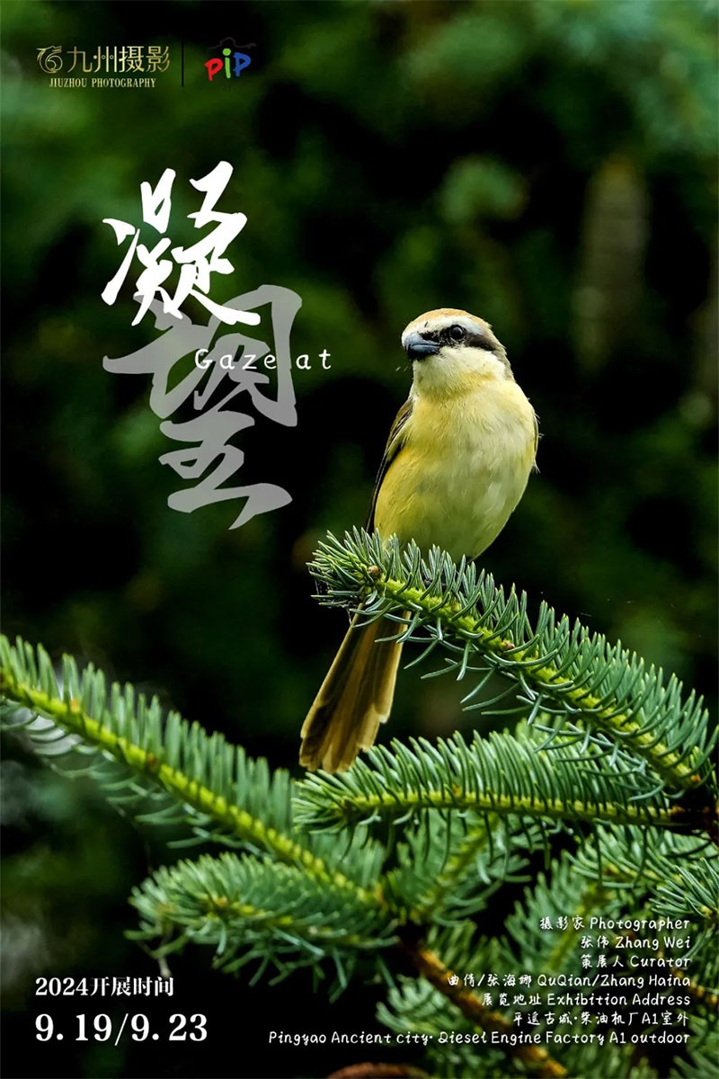 未标题-1.jpg