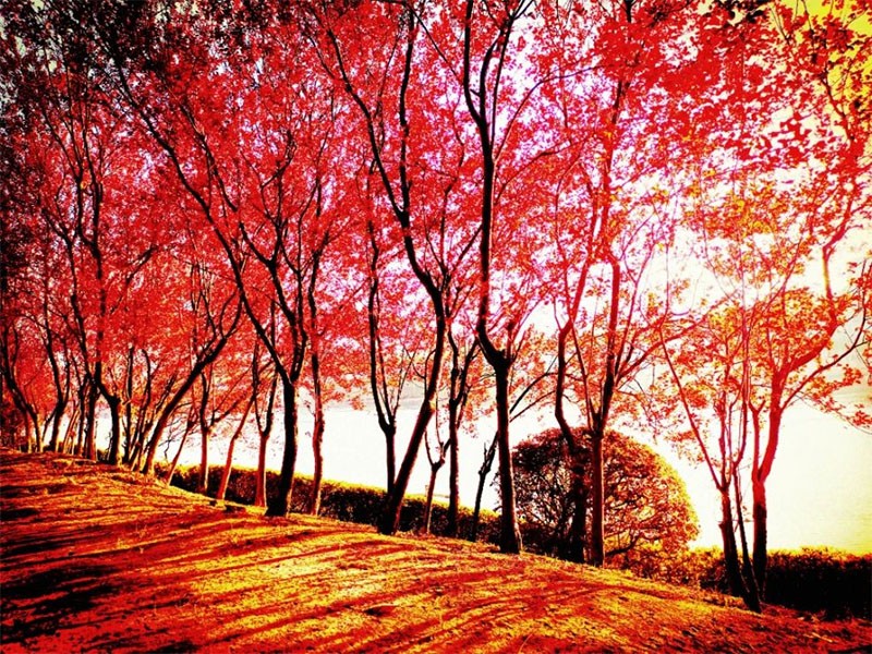 未标题-9.jpg