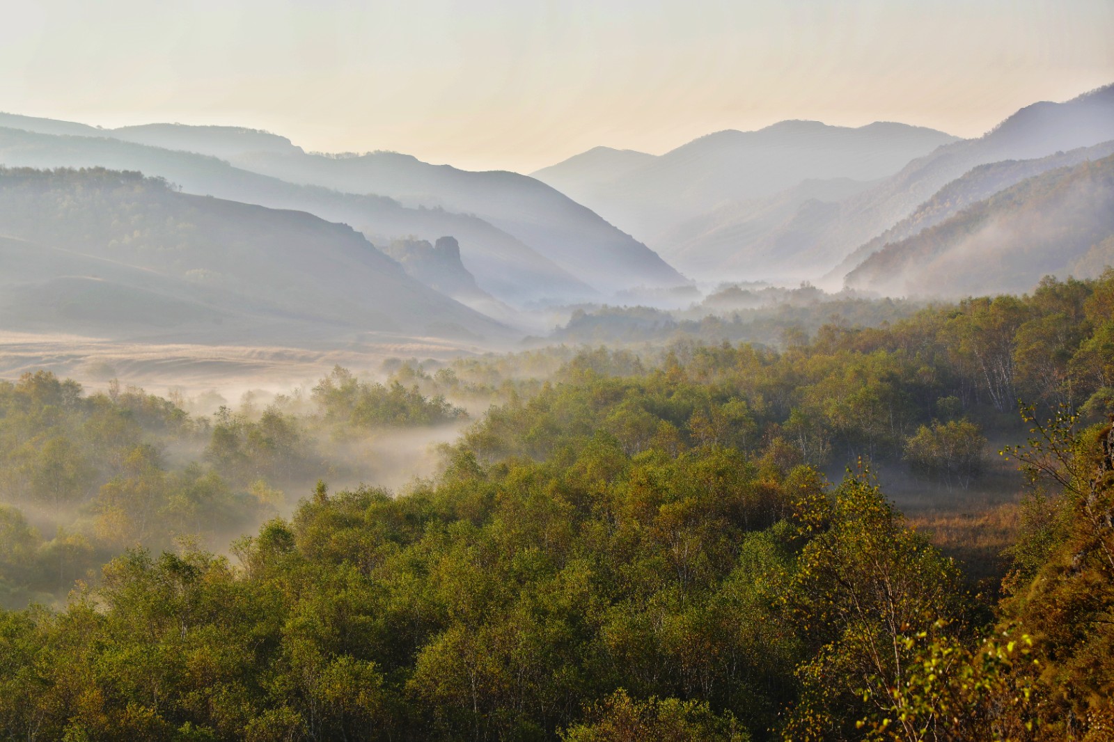 《秋景》.jpg