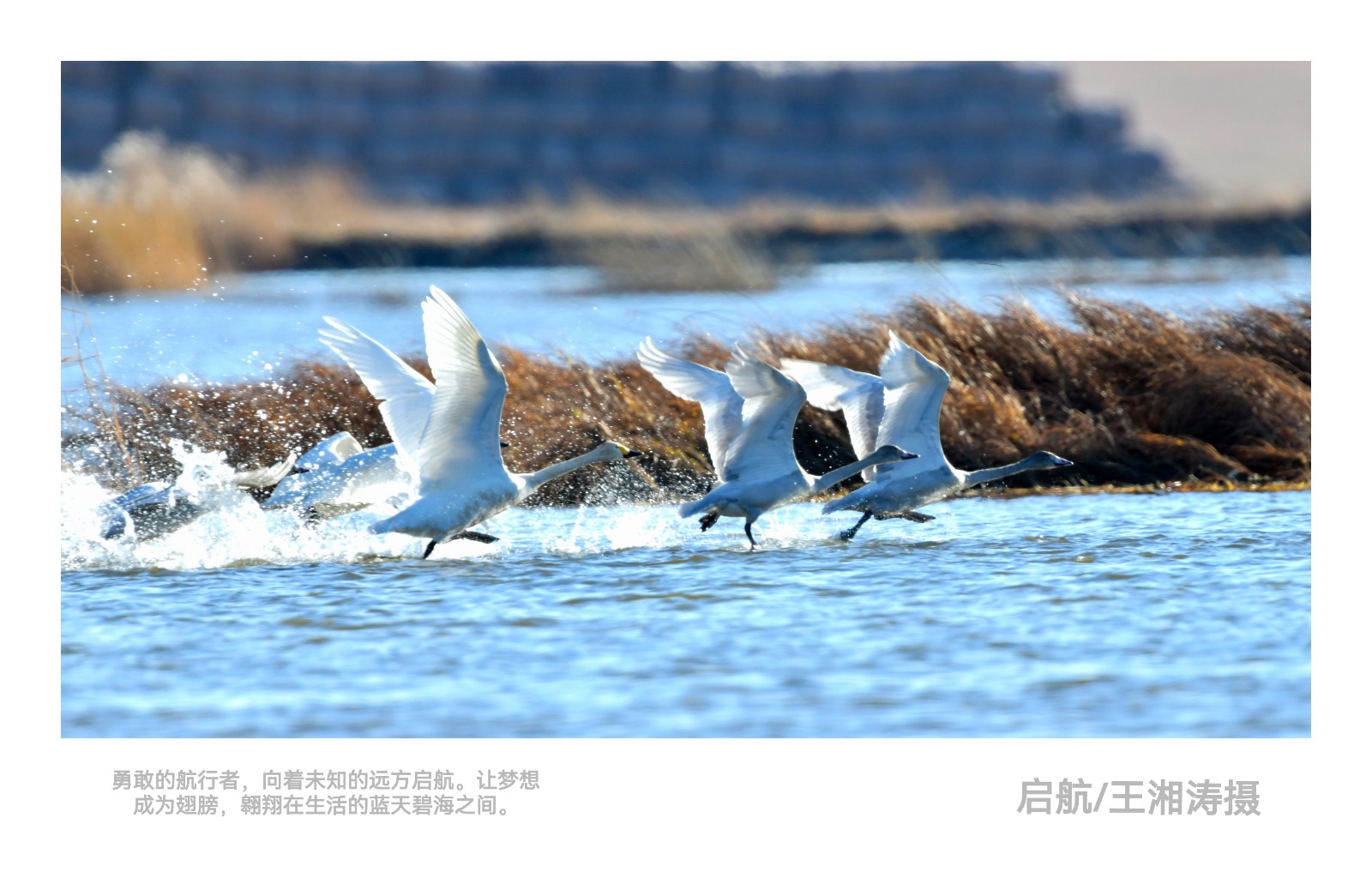 《启航》.jpg
