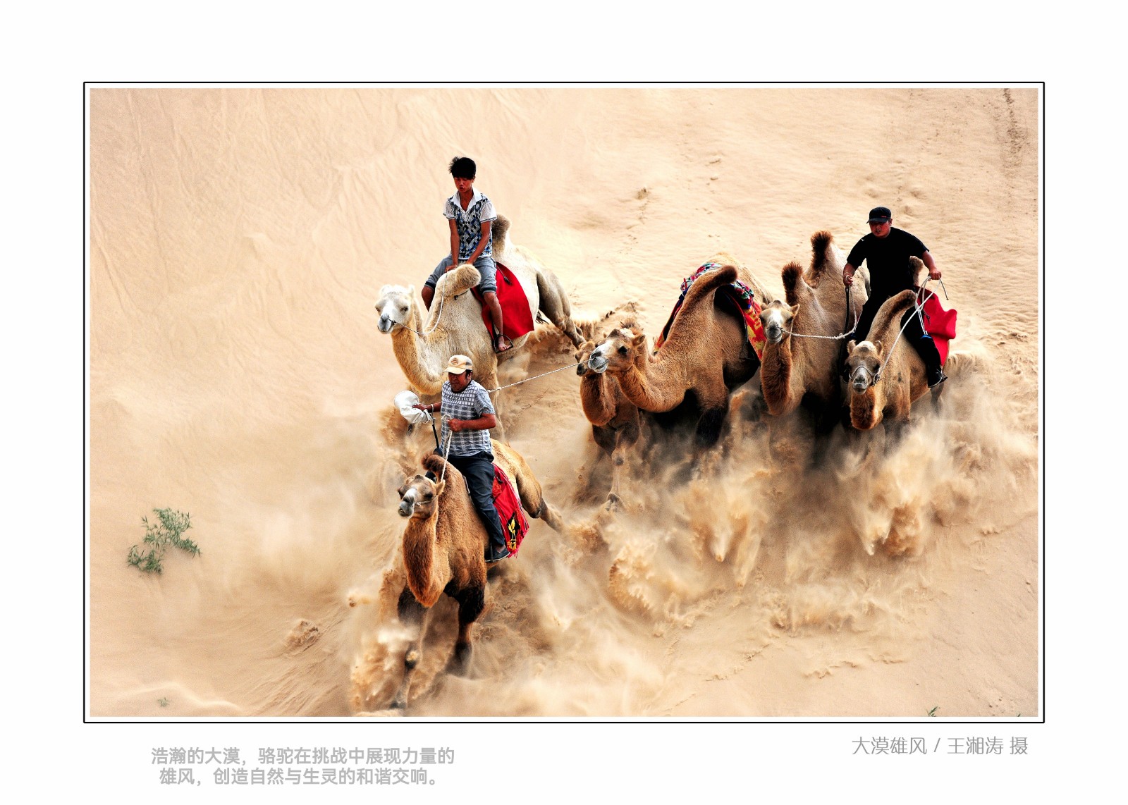 《大漠雄风》.jpg