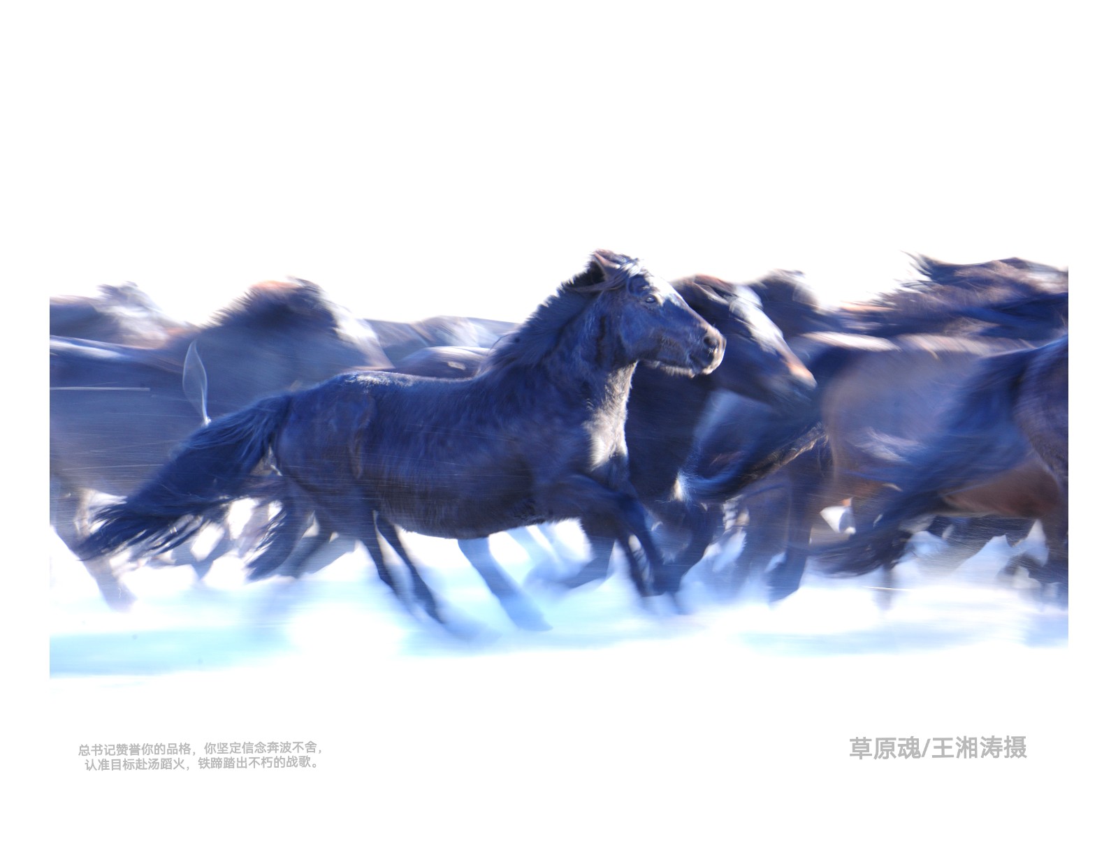 《草原魂》.jpg