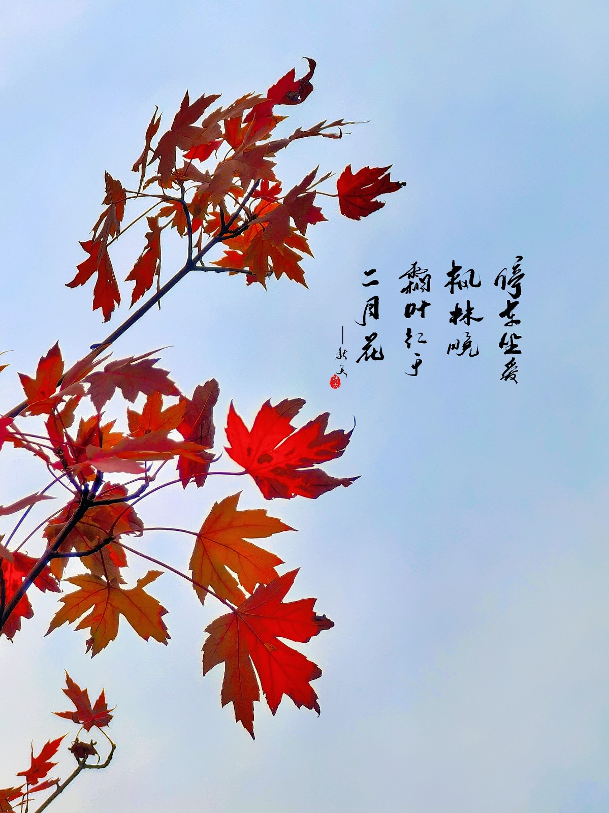 《秋意渐浓》.jpg
