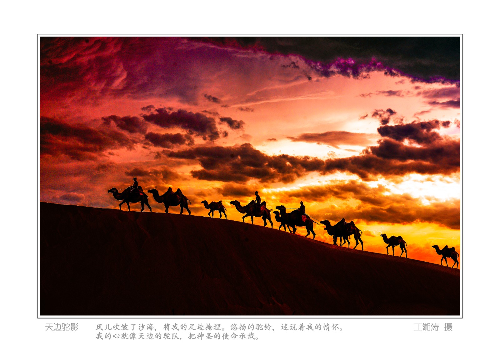 《天边驼影》.jpg