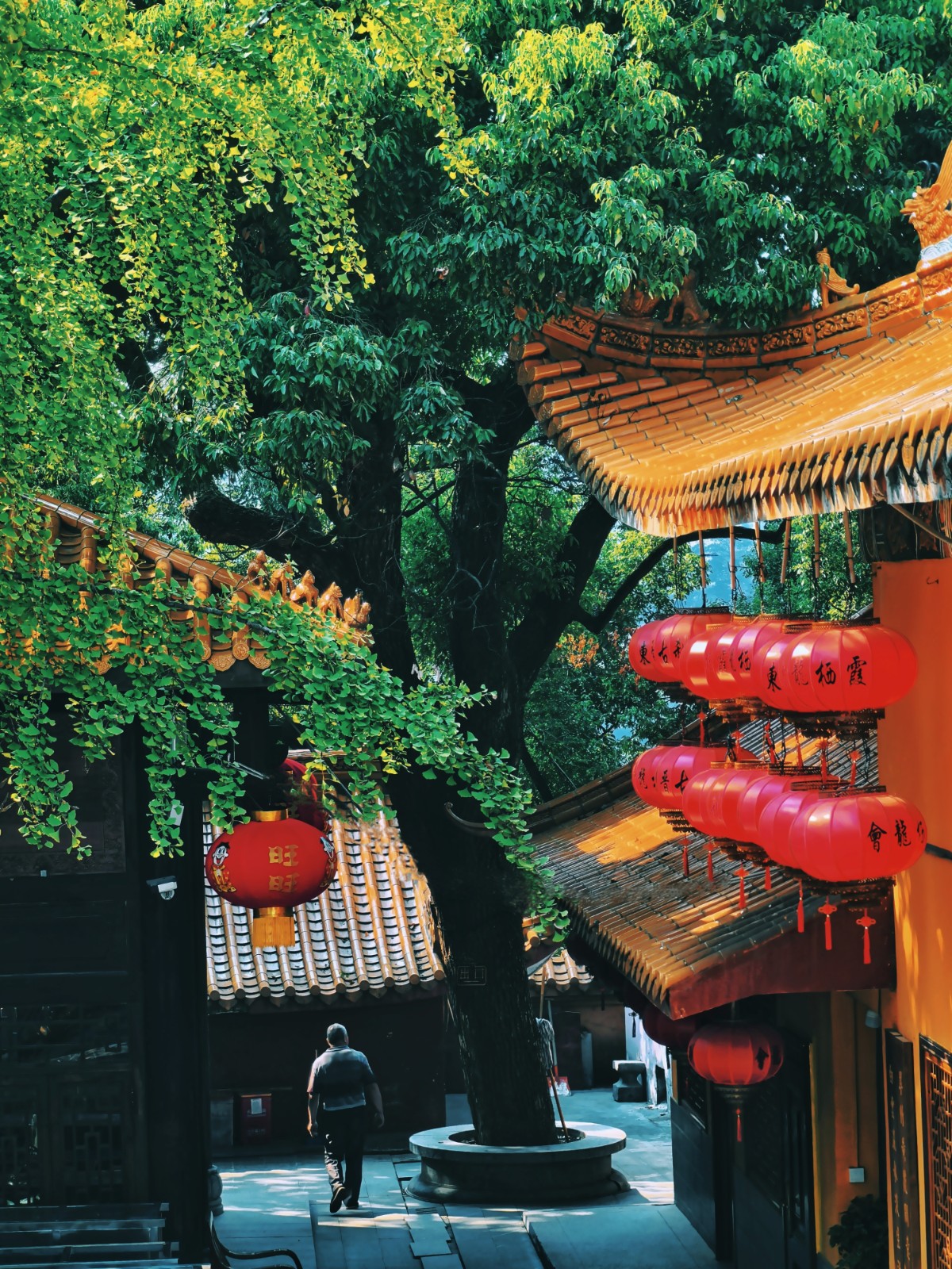 《背影》.jpg