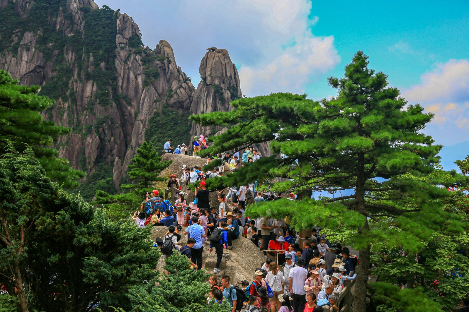 《迎客松》.jpg