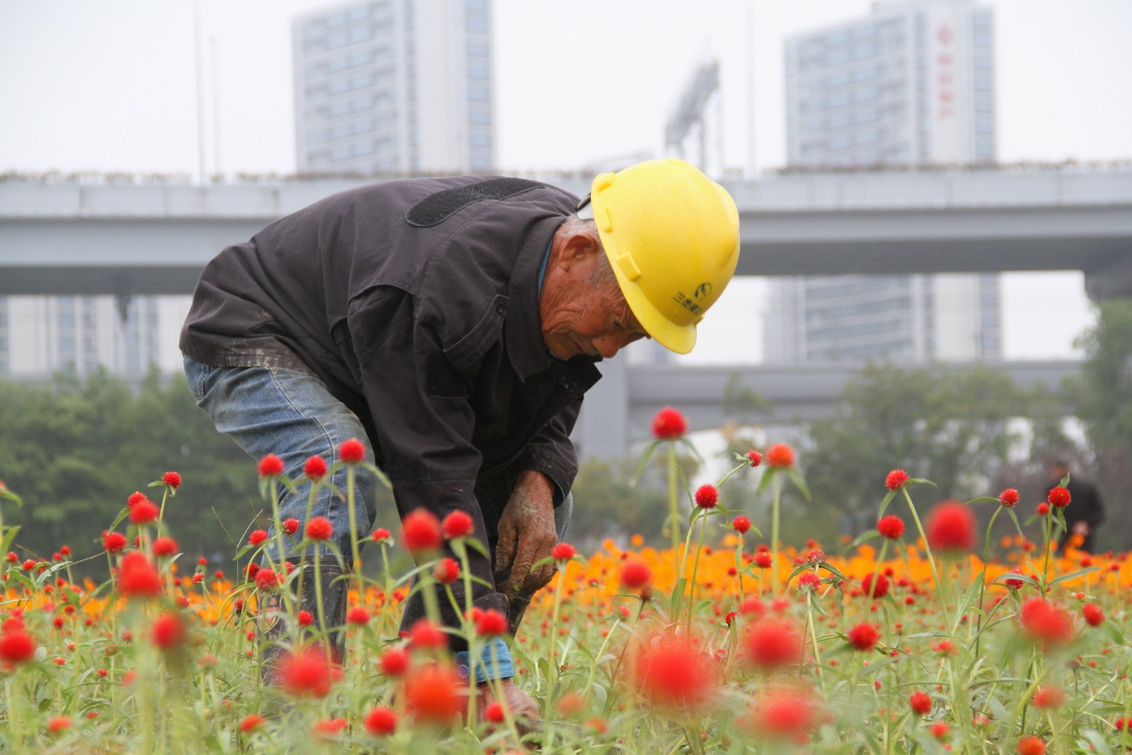 护花使者.jpg