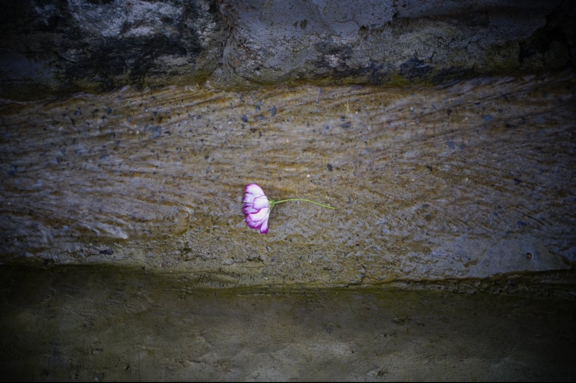 潮痕花笺.jpg