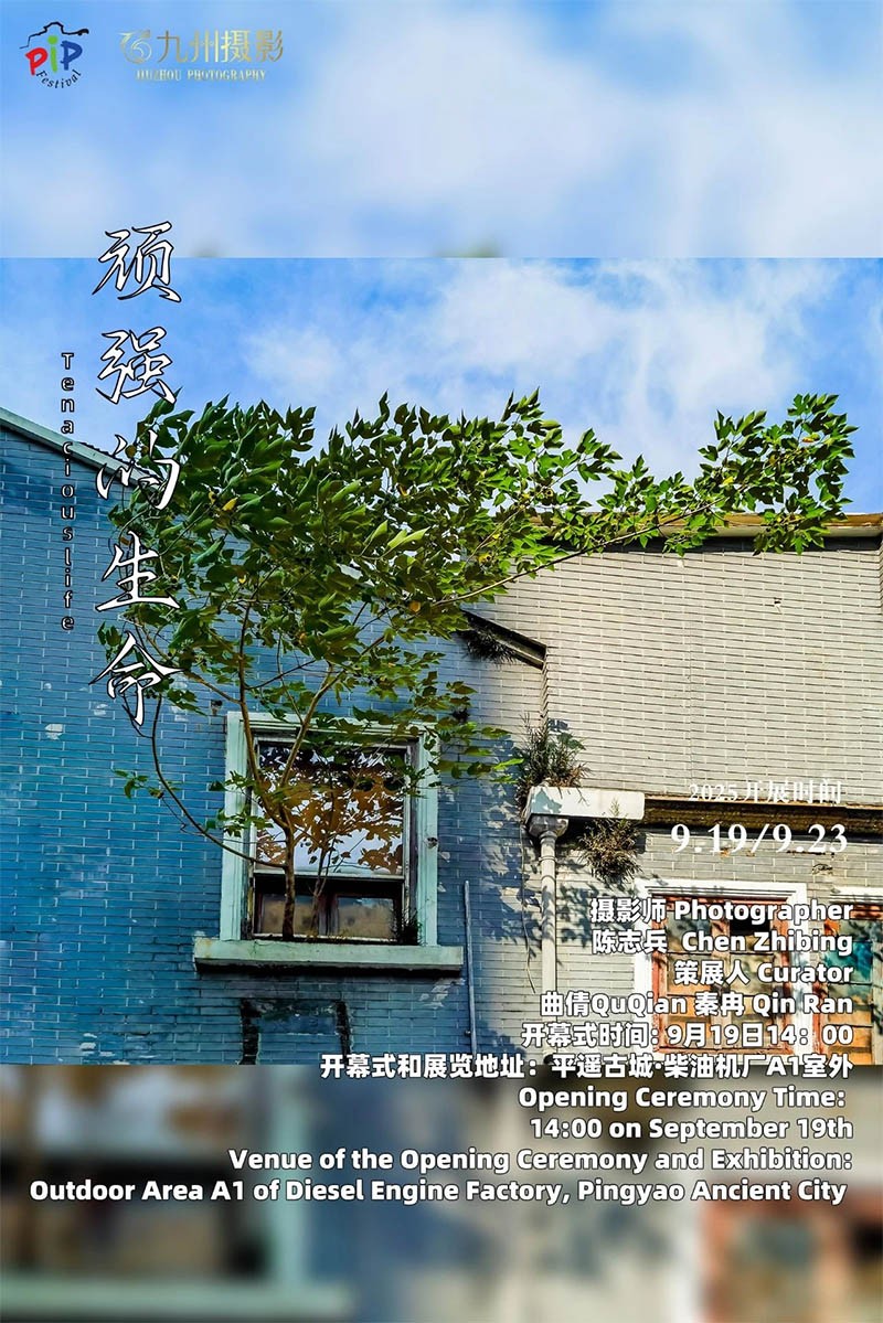 未标题-1.jpg