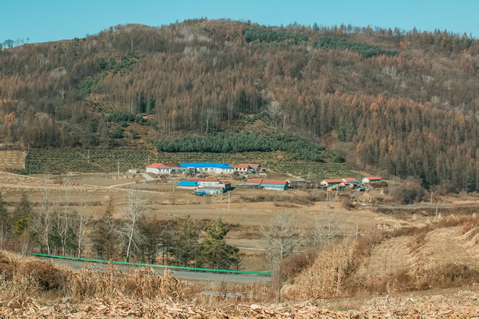 《秋韵》 银奖.jpg