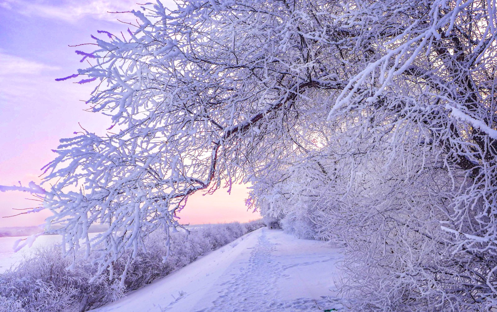 《冰雪片》 (3).jpg